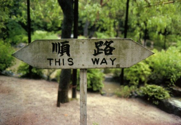 This Way